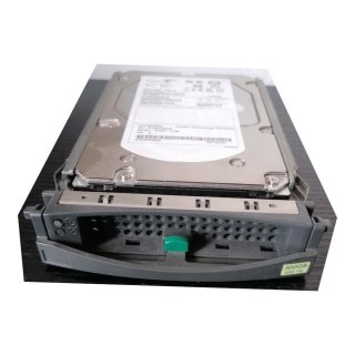 9CH066-040, S26361-H1037-V100, Seagate ST3300656SS SAS Festplatte 300GB 15K RPM SAS 3.5" HDD für Fujitsu Primergy